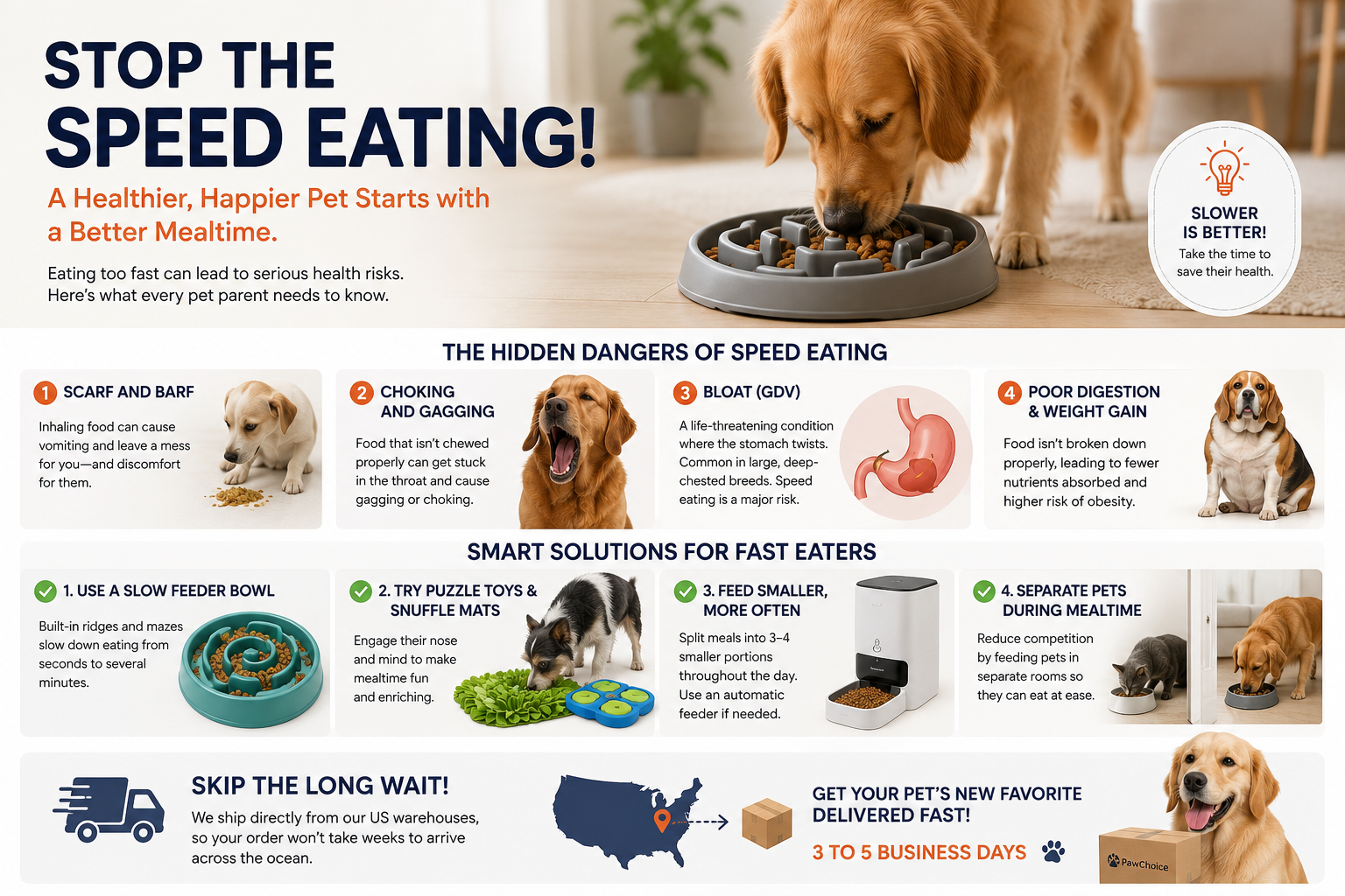 Is Your Pet Eating Too Fast? The Hidden Dangers and How to Fix It