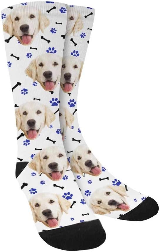 Novelty Dog Accessories