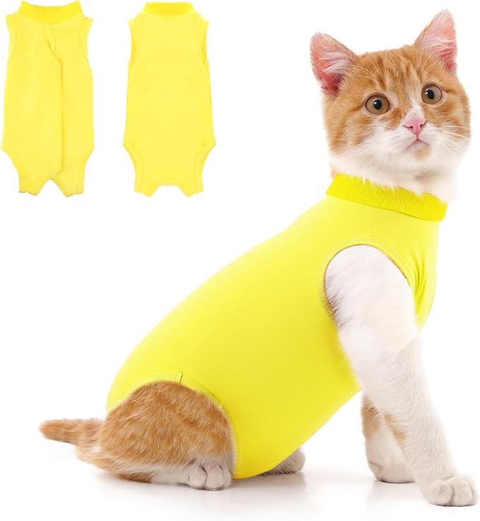 Dog Apparel