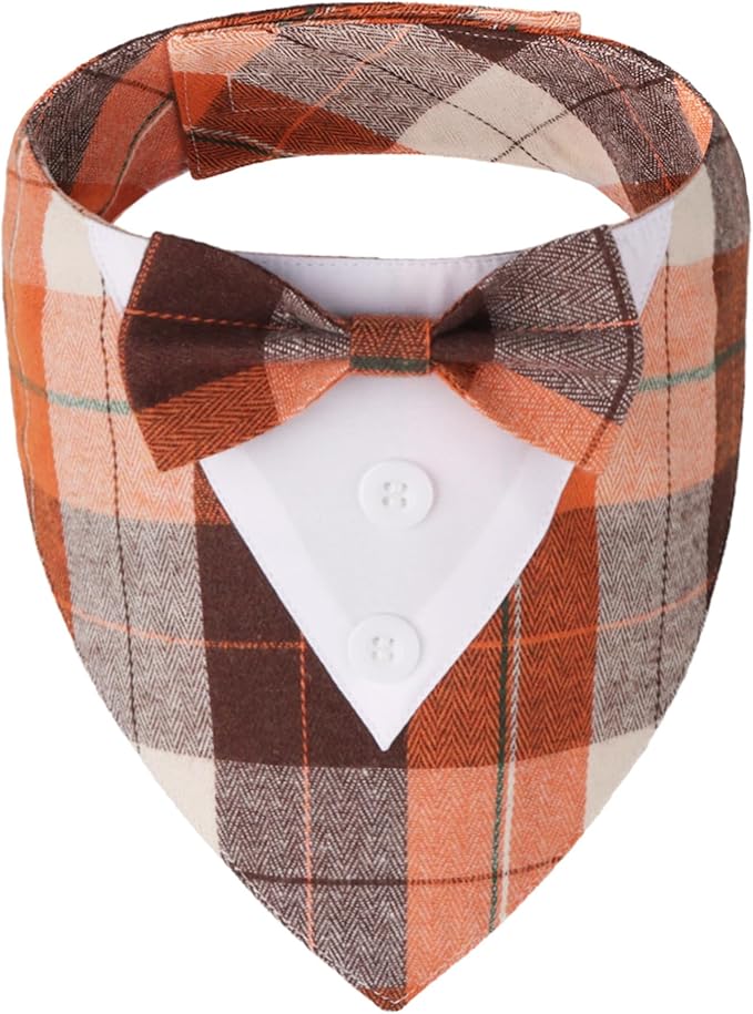 Dog Apparel & Accessories