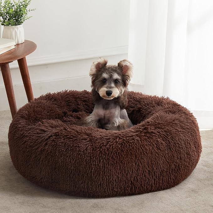 Pet Beds & Furniture