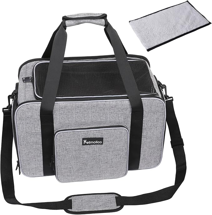 Pet Carriers & Strollers