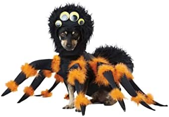 California Costumes, Spider Pup, Dog Costume Small