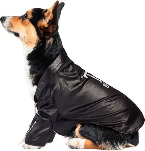 Rubies at Party City Grease: T-Birds Pet Costume for for Dogs or Cats, Medium
