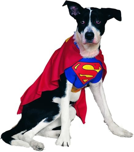 DC Comics Superheroes: Superman Pet Costume for For Dogs or Cats by Rubies, XL