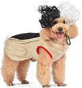 Disney for Pets Villains Cruella Dog Costume, Large
