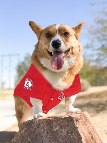 Official MLB Los Angeles Angels Pet Jersey for Dogs & Cats, Size Medium - Stylish Baseball Jersey for Your Furry Fan- Show Off Team Spirit with The Perfect Fan Apparel Gear for Pet, Dog & Cat