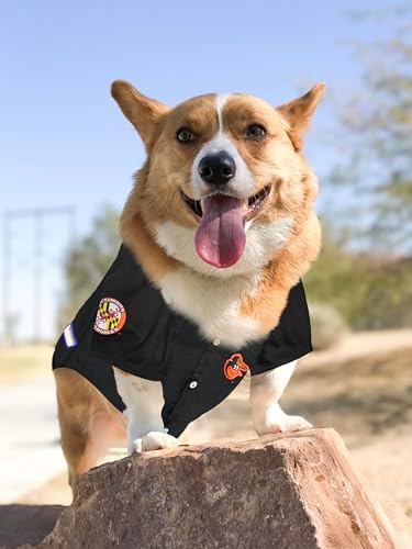 Official MLB Baltimore Orioles Pet Jersey for Dogs & Cats, Size X-Small - Stylish Baseball Jersey for Your Furry Fan- Show Off Team Spirit with The Perfect Fan Apparel Gear for Pet, Dog & Cat