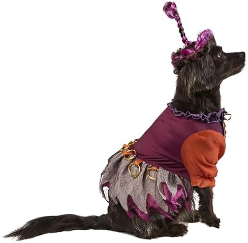 Rubies Disney Hocus Pocus Mary Sanderson Pet Costume and Wig