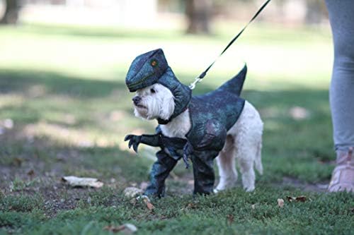 California Costumes, Pupasaurus Rex Dog Costumes Medium