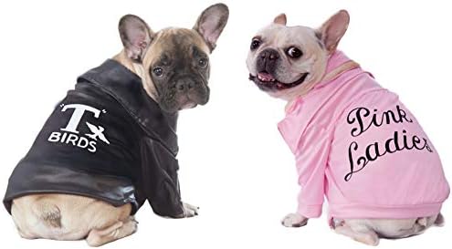 Rubies at Party City Grease: Pink Ladies Pet Costume for for Dogs or Cats, Small