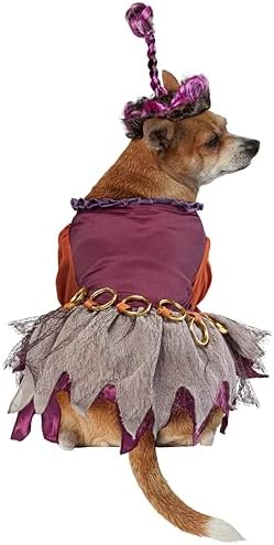 Rubies Disney Hocus Pocus Mary Sanderson Pet Costume and Wig