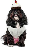 Rubies Cupcake Pet Costume for Dogs or Cats, XL