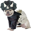 California Costumes Dog Dino Pup Costume Medium