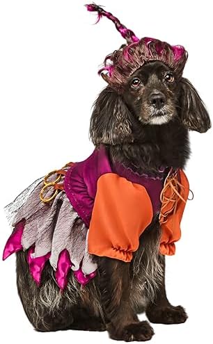Rubies Disney Hocus Pocus Mary Sanderson Pet Costume and Wig