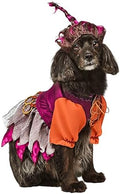 Rubies Disney Hocus Pocus Mary Sanderson Pet Costume and Wig