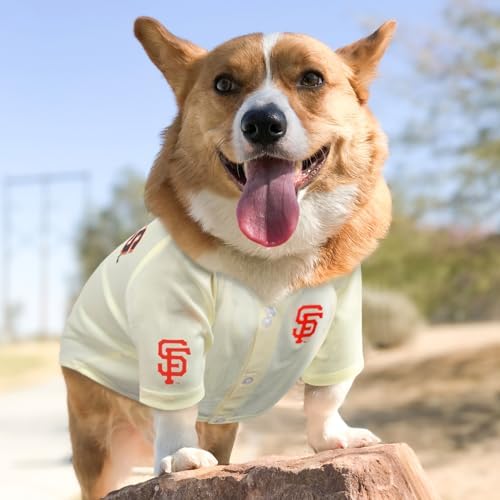 Official MLB San Francisco Giants Pet Jersey for Dogs & Cats, Size Small - Stylish Baseball Jersey for Your Furry Fan- Show Off Team Spirit with The Perfect Fan Apparel Gear for Pet, Dog & Cat