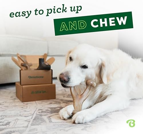 Benebone Large 4-Pack Dog Toys for Aggressive Chewers – Under 90 lbs