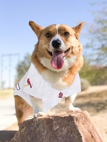 Official MLB St. Louis Cardinals Pet Jersey for Dogs & Cats, Size Large - Stylish Baseball Jersey for Your Furry Fan- Show Off Team Spirit with The Perfect Fan Apparel Gear for Pet, Dog & Cat