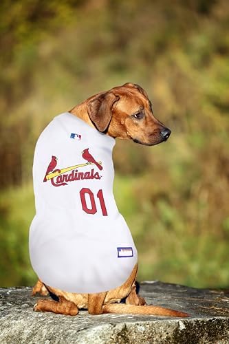 Official MLB St. Louis Cardinals Pet Jersey for Dogs & Cats, Size Medium - Stylish Baseball Jersey for Your Furry Fan- Show Off Team Spirit with The Perfect Fan Apparel Gear for Pet, Dog & Cat