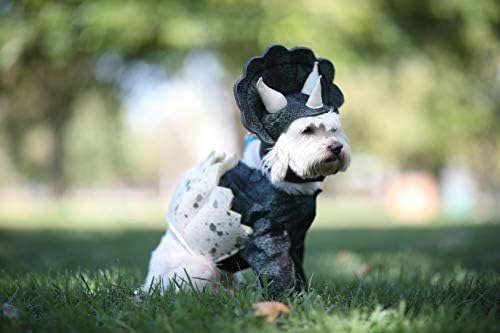 California Costumes California Costume Collections Pet Dino PUP Dog Costumes, Dark Green, XS Neck 10-12 Girth 12-16 Back 8 US