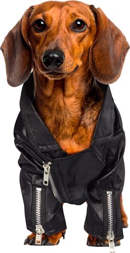 Rubies at Party City Grease: T-Birds Pet Costume for for Dogs or Cats, Medium