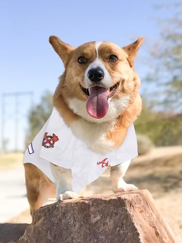 Official MLB Atlanta Braves Pet Jersey for Dogs & Cats, Size Small - Stylish Baseball Jersey for Your Furry Fan- Show Off Team Spirit with The Perfect Fan Apparel Gear for Pet, Dog & Cat