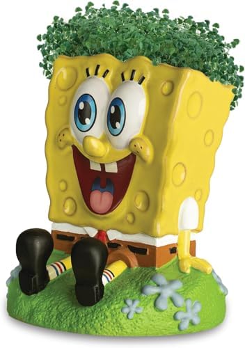 Chia Pet Spongebob Terracotta Planter with Seed Pack