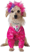 Barbie and The Rockers Dog Costume, X-Small for Teacup Sized Dogs