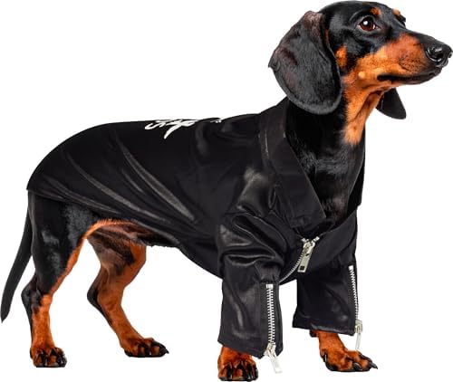 Rubies at Party City Grease: T-Birds Pet Costume for for Dogs or Cats, Medium