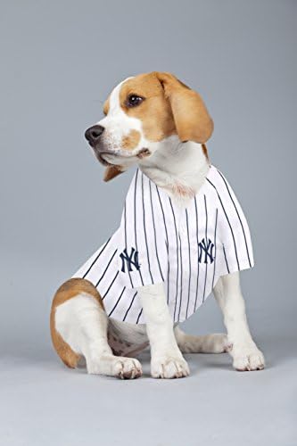 MLBPA Dog Jersey - Aaron Judge #99 Pet Jersey - MLB New York Yankees Mesh Jersey, X-Small