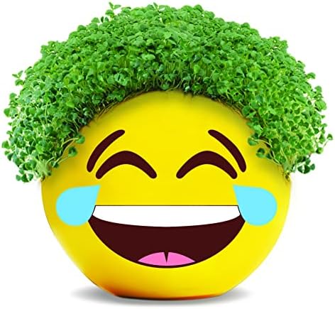 Chia Pet Tears of Joy Emoji Terracotta Planter with Seed Pack