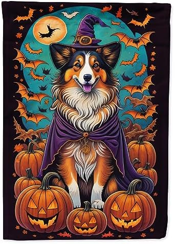 Caroline's Treasures DAC1533CHF Sheltie Witchy Halloween House Flag Large Porch Sleeve Pole Decorative Outside Yard Banner Artwork Wall Hanging, Polyester, House Size, Multicolor
