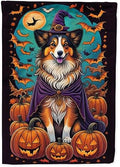 Caroline's Treasures DAC1533CHF Sheltie Witchy Halloween House Flag Large Porch Sleeve Pole Decorative Outside Yard Banner Artwork Wall Hanging, Polyester, House Size, Multicolor