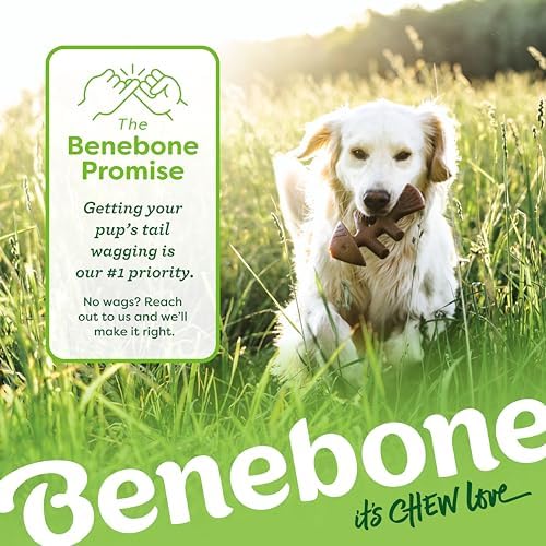 Benebone Large 4-Pack Dog Toys for Aggressive Chewers – Under 90 lbs