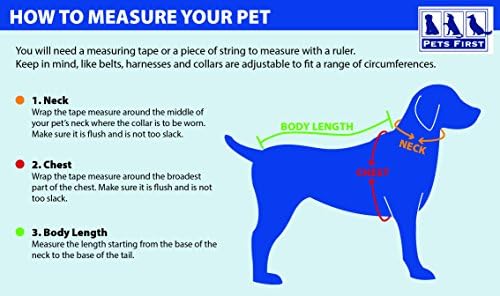 NFL Chicago Bears Raglan Jersey Da Bears - Small. Cutest Football Jersey for Dogs & Cats