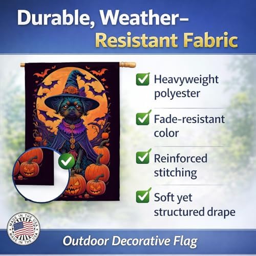 Caroline's Treasures DAC1466CHF Affenpinscher Witchy Halloween House Flag Large Porch Sleeve Pole Decorative Outside Yard Banner Artwork Wall Hanging, Polyester, House Size, Multicolor