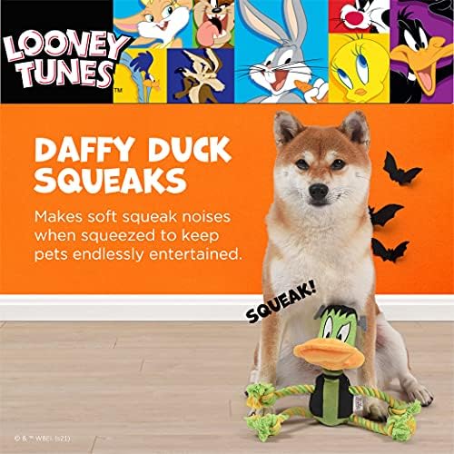 LOONEY TUNES for Pets Frankenstein Daffy Duck & Skeleton Sylvester Halloween Rope Pull Dog Toys Bulk 14 Pc Clipstrip | Squeaky Dog Toys from Plush Dog Chew Toys (Pack of 2)