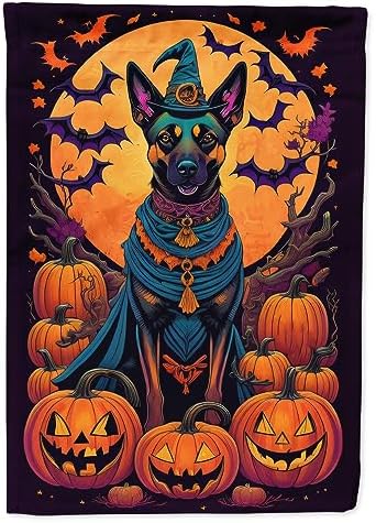 Caroline's Treasures DAC1477GF Belgian Malinois Witchy Halloween Garden Flag Mailbox Flag Decorative Yard Flag Banner Outside Patio Artwork Yard Flower Beds, Garden Size, Multicolor