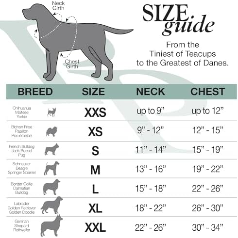 Pet Passion Rocky – The Original Lightweight Hooded Tee 100% Organic Cotton Dog Hoodie Pet Coat Sweater for All Sized Dogs, Heather Gray Color Block, X-Small (5-12 lbs)