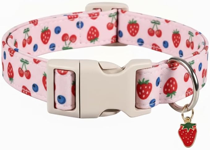 Girl Dog Collar, Cute Dog Collar by Britwicfr