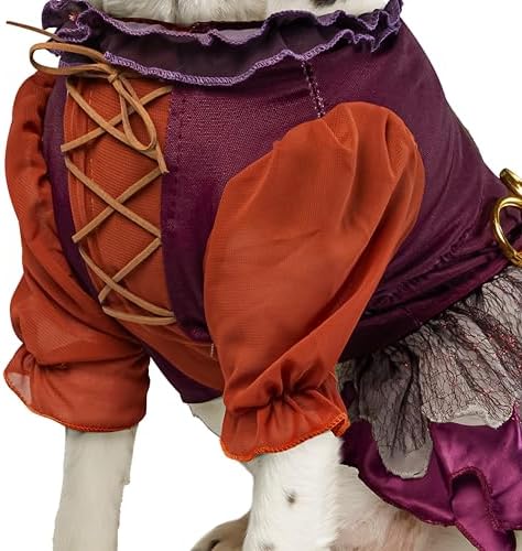 Rubies Disney Hocus Pocus Mary Sanderson Pet Costume and Wig