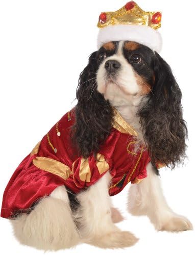 Rubies Kanine King Pet Costume for Dogs or Cats, Large