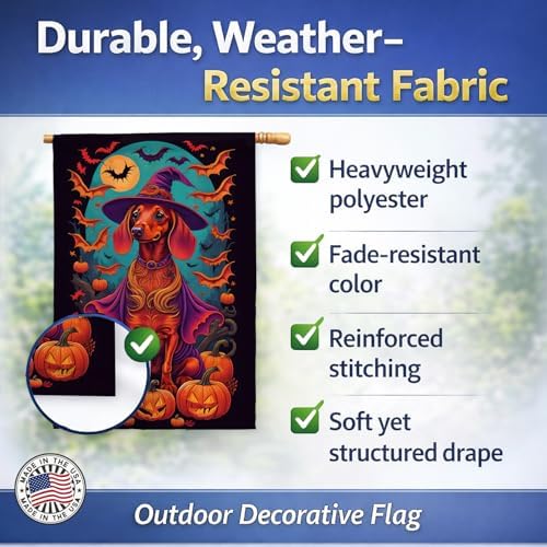 Caroline's Treasures DAC1503CHF Dachshund Witchy Halloween House Flag Large Porch Sleeve Pole Decorative Outside Yard Banner Artwork Wall Hanging, Polyester, House Size, Multicolor