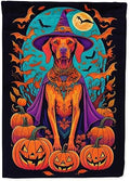 Caroline's Treasures DAC1539CHF Vizsla Witchy Halloween House Flag Large Porch Sleeve Pole Decorative Outside Yard Banner Artwork Wall Hanging, Polyester, House Size, Multicolor
