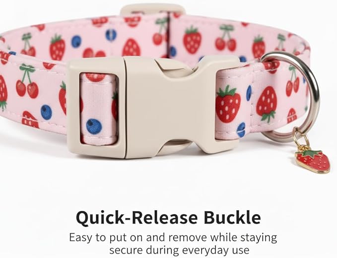 Small Dog Collar, Cute Dog Collar - Image 4