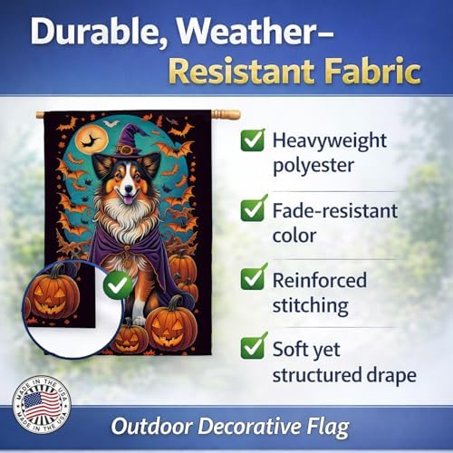 Caroline's Treasures DAC1533CHF Sheltie Witchy Halloween House Flag Large Porch Sleeve Pole Decorative Outside Yard Banner Artwork Wall Hanging, Polyester, House Size, Multicolor