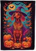 Caroline's Treasures DAC1503CHF Dachshund Witchy Halloween House Flag Large Porch Sleeve Pole Decorative Outside Yard Banner Artwork Wall Hanging, Polyester, House Size, Multicolor