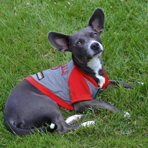 Pets First MLB Hoodie for Dogs & Cats - Washington Nationals Dog Hooded T-Shirt, X-Small. - MLB Team Color Hoody (NAT-4044-XS)