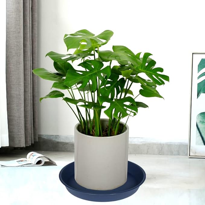 2 Pack of 8 inch Plant Saucer Clear, Heavy Duty Plastic Plant Water Tray 8 inch - Image 5